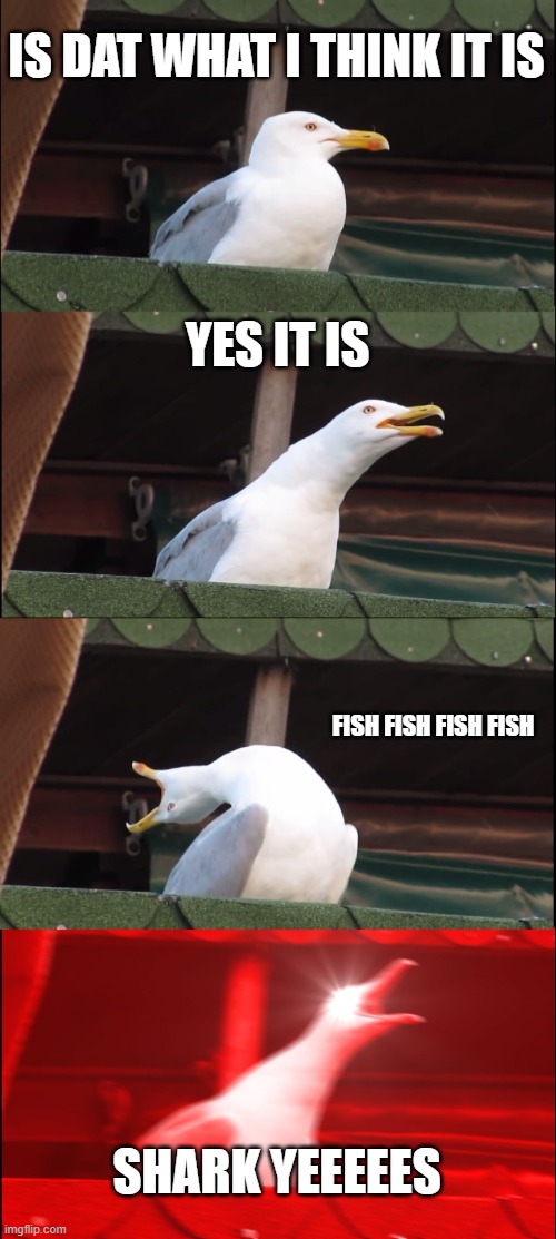 fish | IS DAT WHAT I THINK IT IS; YES IT IS; FISH FISH FISH FISH; SHARK YEEEEES | image tagged in memes,inhaling seagull | made w/ Imgflip meme maker