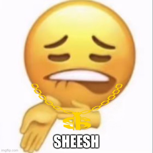 SHEEEEESH | SHEESH | image tagged in fun | made w/ Imgflip meme maker