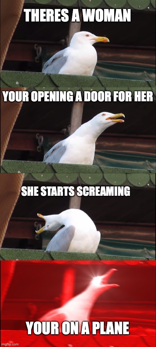 Boi bird meme | THERES A WOMAN; YOUR OPENING A DOOR FOR HER; SHE STARTS SCREAMING; YOUR ON A PLANE | image tagged in memes,inhaling seagull | made w/ Imgflip meme maker
