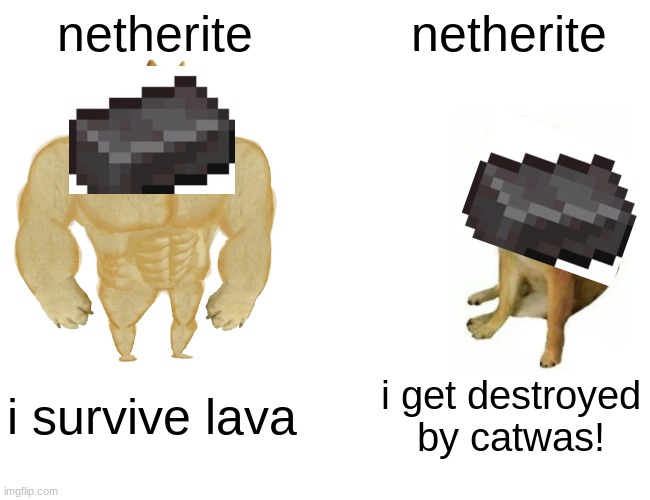 Buff Doge vs. Cheems | netherite; netherite; i survive lava; i get destroyed by catwas! | image tagged in memes,buff doge vs cheems | made w/ Imgflip meme maker