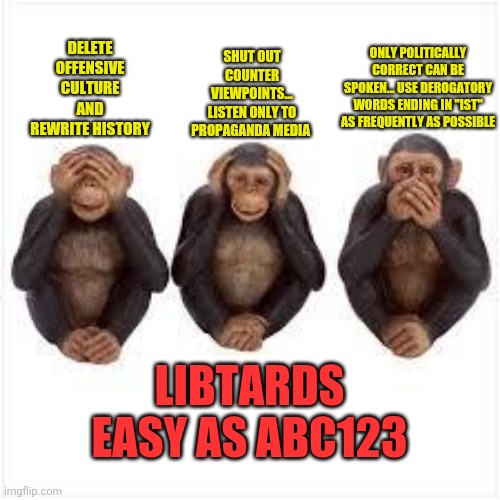 See no common sense. Hear no common sense. Speak no common sense | SHUT OUT COUNTER VIEWPOINTS... LISTEN ONLY TO PROPAGANDA MEDIA; ONLY POLITICALLY CORRECT CAN BE SPOKEN... USE DEROGATORY WORDS ENDING IN "IST" AS FREQUENTLY AS POSSIBLE; DELETE OFFENSIVE CULTURE AND REWRITE HISTORY; LIBTARDS EASY AS ABC123 | image tagged in see no evil hear no evil speak no evil | made w/ Imgflip meme maker