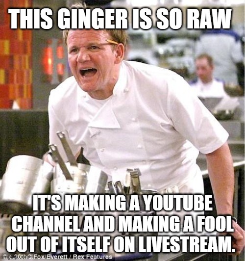 Chef Gordon Ramsay Meme | THIS GINGER IS SO RAW; IT'S MAKING A YOUTUBE CHANNEL AND MAKING A FOOL OUT OF ITSELF ON LIVESTREAM. | image tagged in memes,chef gordon ramsay | made w/ Imgflip meme maker