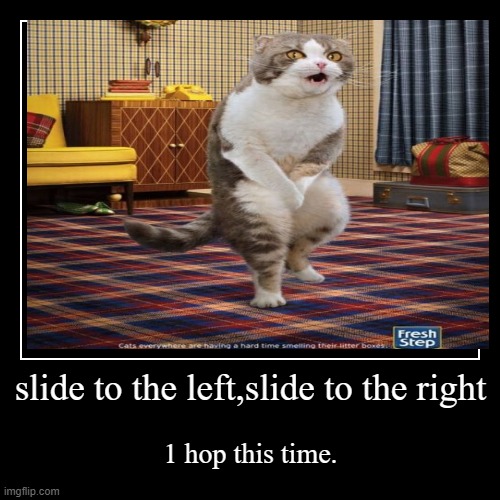 cha cha slide cat | image tagged in funny,demotivationals | made w/ Imgflip demotivational maker