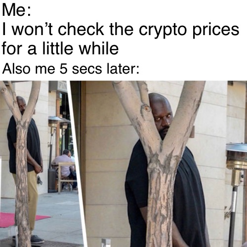When you want to take a break from checking crypto prices.... | Me:
I won’t check the crypto prices for a little while; Also me 5 secs later: | image tagged in shaq,crypto,invest,trading,bitcoin,ethereum | made w/ Imgflip meme maker