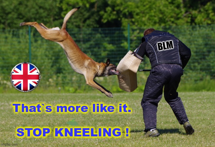 STOP KNEELING ! | BLM; That`s more like it.
                  .
    STOP KNEELING ! | image tagged in blm | made w/ Imgflip meme maker