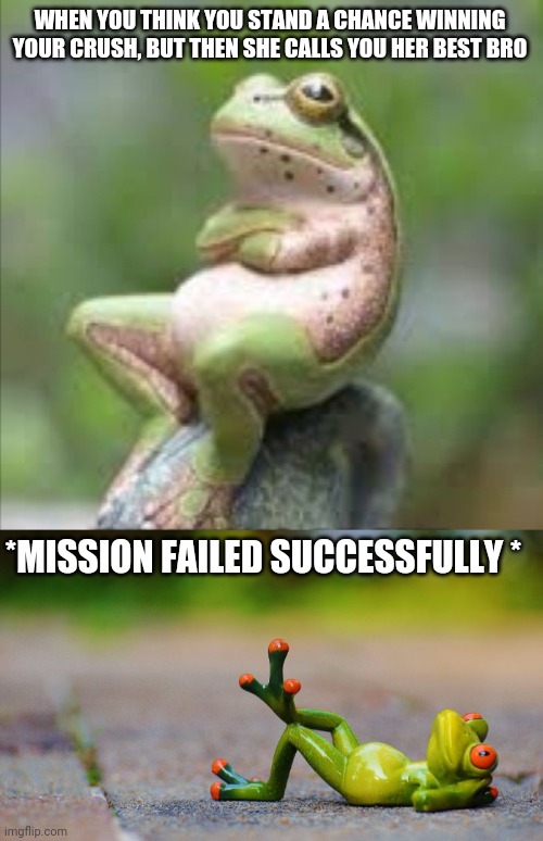 Depressed frog | WHEN YOU THINK YOU STAND A CHANCE WINNING YOUR CRUSH, BUT THEN SHE CALLS YOU HER BEST BRO; *MISSION FAILED SUCCESSFULLY * | image tagged in memes,funny memes | made w/ Imgflip meme maker
