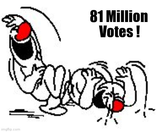 Is it TDS or LSD ? | 81 Million   
Votes ! | image tagged in lol hysterically,stoned,too damn high,mushroomcloudy,don't do drugs,high as a kite | made w/ Imgflip meme maker