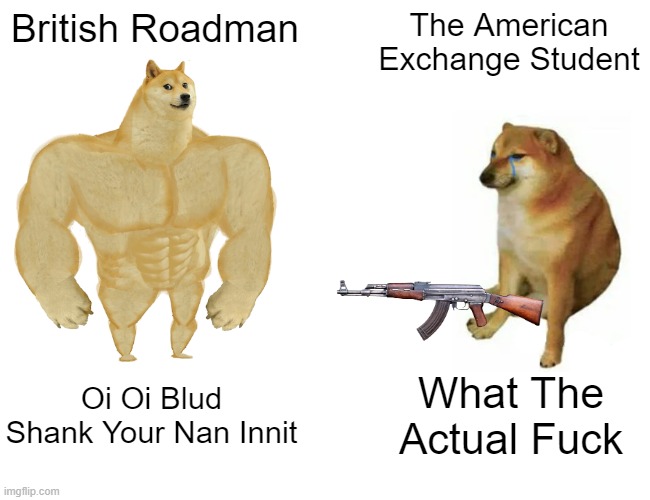 British People | British Roadman; The American Exchange Student; Oi Oi Blud Shank Your Nan Innit; What The Actual Fuck | image tagged in memes,buff doge vs cheems | made w/ Imgflip meme maker