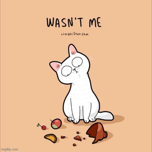A Cat's Way Of Thinking | image tagged in memes,comics,cat,thinking,broken,it wasn't me | made w/ Imgflip meme maker