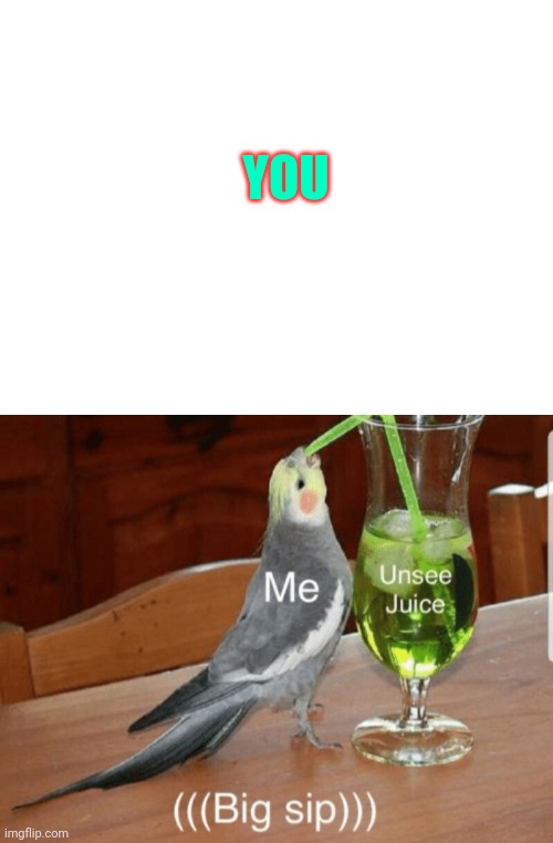 YOU | image tagged in blank white template,unsee juice | made w/ Imgflip meme maker
