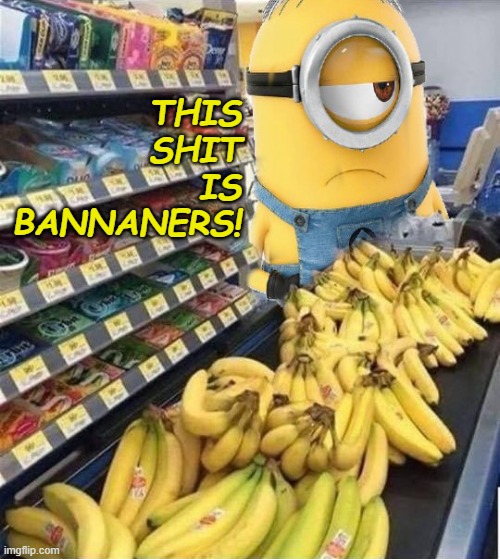 THIS SHIT IS BANNANERS | THIS SHIT IS BANNANERS! | image tagged in minions,minion,minions confused,cashier,bananas,banana power | made w/ Imgflip meme maker