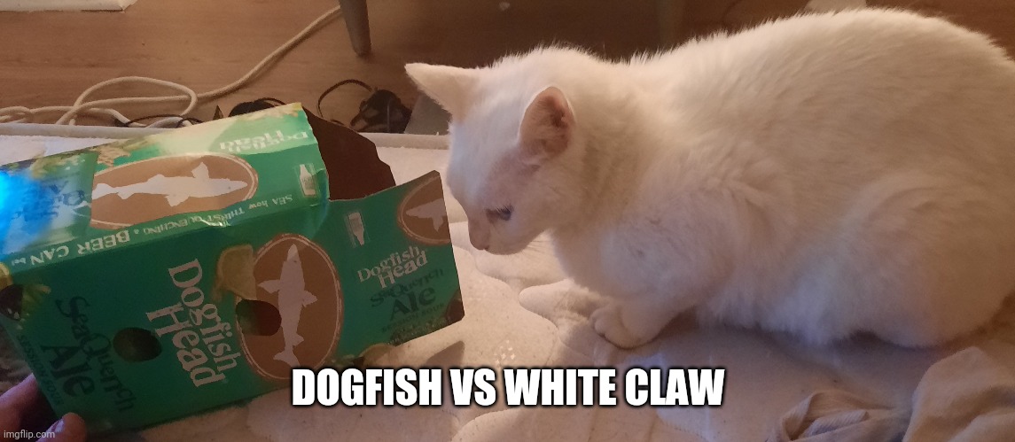 Dogfish vs white claw | DOGFISH VS WHITE CLAW | image tagged in cats,beer | made w/ Imgflip meme maker