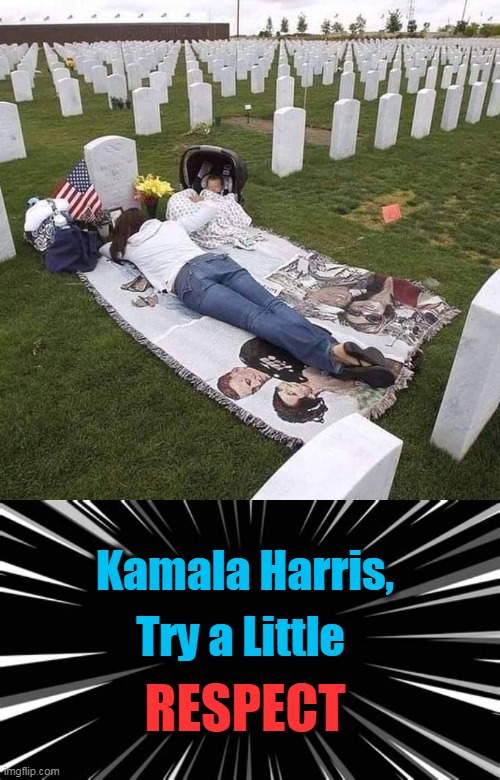One Photograph....A Thousand Words |  Try a Little; Kamala Harris, RESPECT | image tagged in politics,kamala harris,memorial day,respect,not all about you | made w/ Imgflip meme maker
