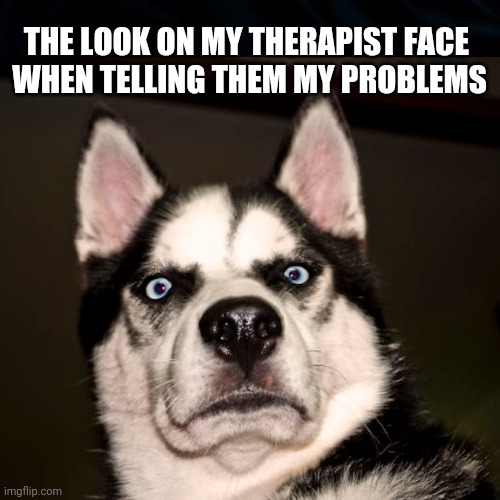 You Did What ? | THE LOOK ON MY THERAPIST FACE 
WHEN TELLING THEM MY PROBLEMS | image tagged in dogs,therapy,secrets,you did what,funny,psychology | made w/ Imgflip meme maker