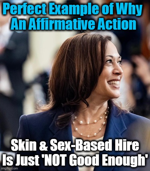 This Cackling, Underqualified Woman is Absent at the Border But Present for a Photo Op | Perfect Example of Why  
An Affirmative Action; Skin & Sex-Based Hire
Is Just 'NOT Good Enough' | image tagged in identity politics,affirmative action,kamala harris,underqualified | made w/ Imgflip meme maker