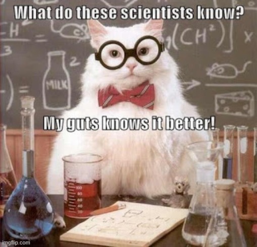 Who needs science when you have guts? | image tagged in science,denial,gut feeling,lolcat | made w/ Imgflip meme maker