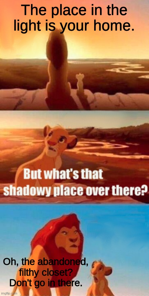 that one old closet be like | The place in the light is your home. Oh, the abandoned, filthy closet? Don't go in there. | image tagged in memes,simba shadowy place | made w/ Imgflip meme maker