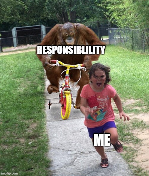 Orangutan chasing girl on a tricycle | RESPONSIBLILITY; ME | image tagged in orangutan chasing girl on a tricycle | made w/ Imgflip meme maker