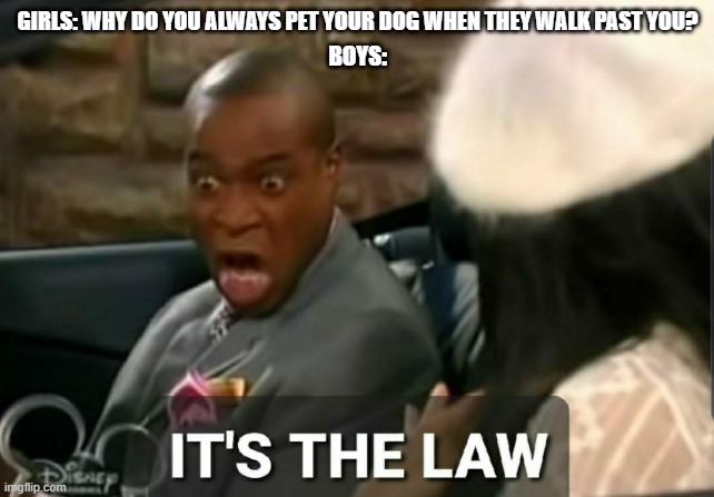 It's the law | GIRLS: WHY DO YOU ALWAYS PET YOUR DOG WHEN THEY WALK PAST YOU? BOYS: | image tagged in it's the law | made w/ Imgflip meme maker