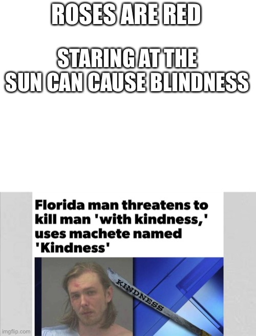 the power of friendship! | ROSES ARE RED; STARING AT THE SUN CAN CAUSE BLINDNESS | image tagged in blank white template | made w/ Imgflip meme maker