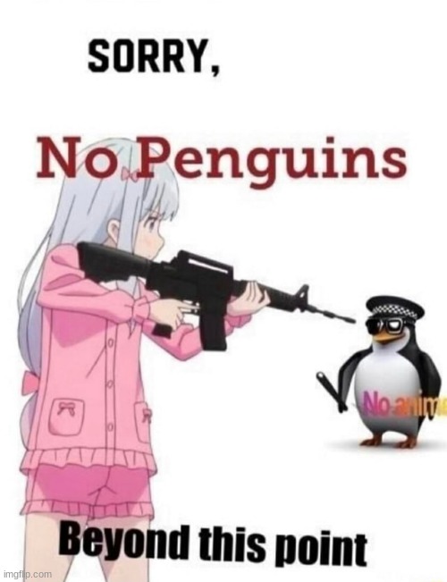 sorry no penguins here | image tagged in no penguins,anime for life | made w/ Imgflip meme maker