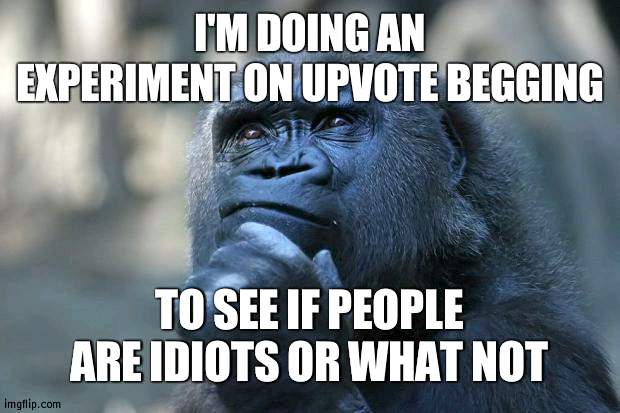 Memes in comments | I'M DOING AN EXPERIMENT ON UPVOTE BEGGING; TO SEE IF PEOPLE ARE IDIOTS OR WHAT NOT | image tagged in deep thoughts | made w/ Imgflip meme maker