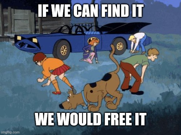 Scooby Doo Search | IF WE CAN FIND IT WE WOULD FREE IT | image tagged in scooby doo search | made w/ Imgflip meme maker