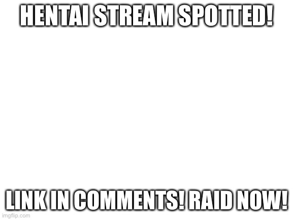 Blank White Template | HENTAI STREAM SPOTTED! LINK IN COMMENTS! RAID NOW! | image tagged in blank white template | made w/ Imgflip meme maker