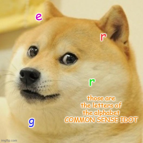 Doge Meme | e r r g those are the letters of the alphabet COMMON SENSE IDOT | image tagged in memes,doge | made w/ Imgflip meme maker