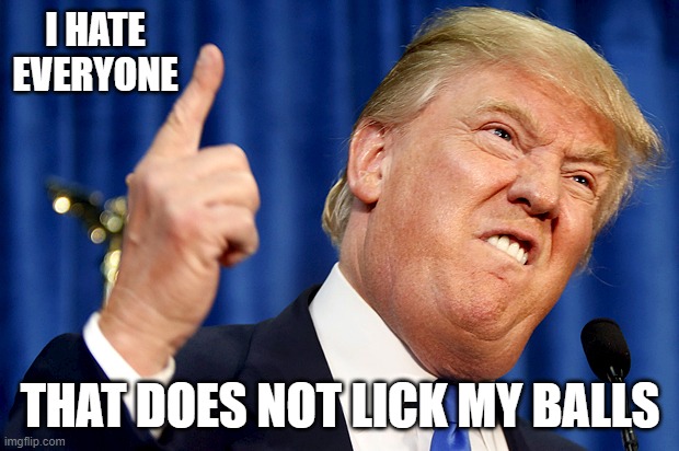 Donald Trump | I HATE EVERYONE THAT DOES NOT LICK MY BALLS | image tagged in donald trump | made w/ Imgflip meme maker