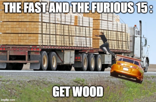 THE FAST AND THE FURIOUS 15 :; GET WOOD | image tagged in fast and furious,wood | made w/ Imgflip meme maker