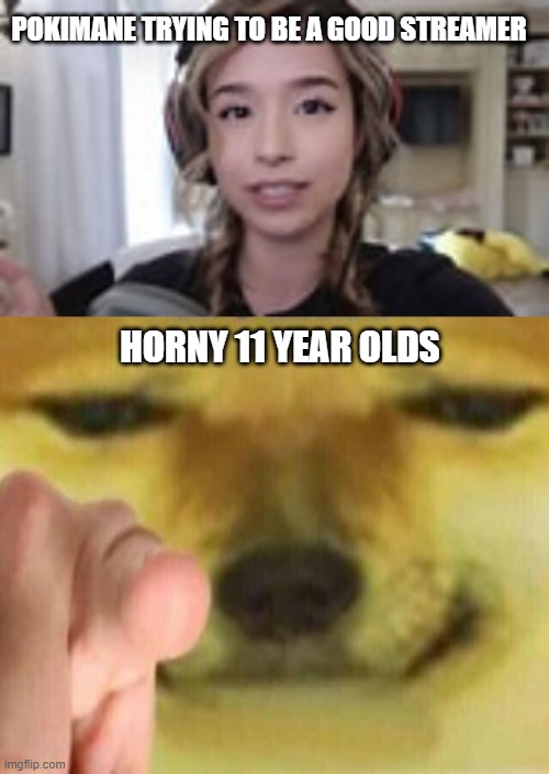 POKIMANE TRYING TO BE A GOOD STREAMER; HORNY 11 YEAR OLDS | image tagged in cheems pointing at you | made w/ Imgflip meme maker