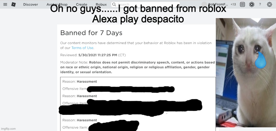 Bad news guys.... | Oh no guys......I got banned from roblox
Alexa play despacito | image tagged in sad,roblox account got banned for 7 days,7 days,roblox,account,made by bob_fnf | made w/ Imgflip meme maker