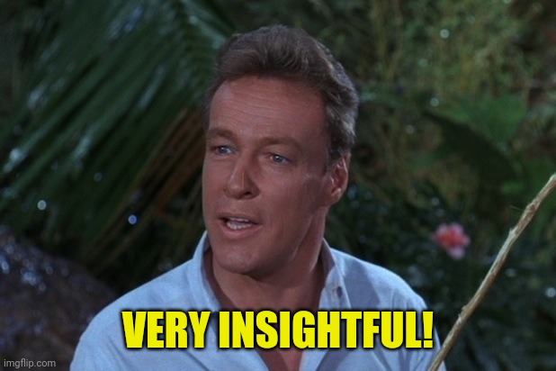 Professor Gilligans island | VERY INSIGHTFUL! | image tagged in professor gilligans island | made w/ Imgflip meme maker