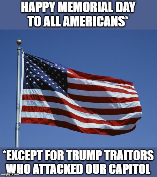 American Patriots Defend the U.S. Capitol, the U.S. Constitution, and Democracy | HAPPY MEMORIAL DAY
TO ALL AMERICANS*; *EXCEPT FOR TRUMP TRAITORS WHO ATTACKED OUR CAPITOL | image tagged in patriotic,americans,memorial day,veterans | made w/ Imgflip meme maker