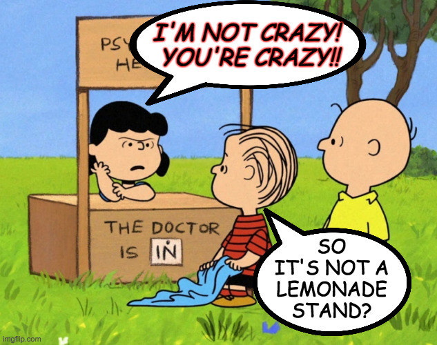I'M NOT CRAZY!  YOU'RE CRAZY!! SO
IT'S NOT A
LEMONADE
STAND? | made w/ Imgflip meme maker