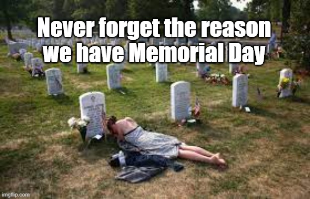 Memorial Day | Never forget the reason
we have Memorial Day | image tagged in never forget,honor,memorial day | made w/ Imgflip meme maker