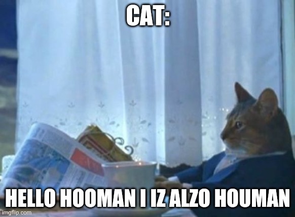 I Should Buy A Boat Cat | CAT:; HELLO HOOMAN I IZ ALZO HOUMAN | image tagged in memes,i should buy a boat cat | made w/ Imgflip meme maker