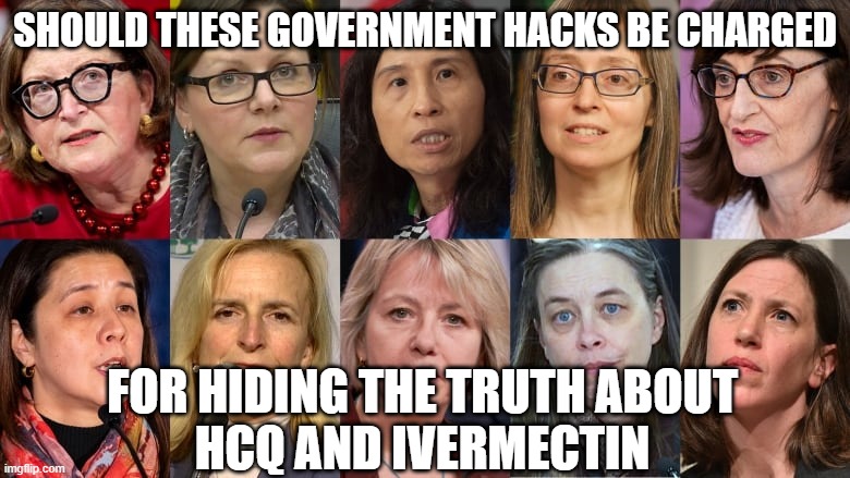 SHOULD THESE GOVERNMENT HACKS BE CHARGED; FOR HIDING THE TRUTH ABOUT 
HCQ AND IVERMECTIN | made w/ Imgflip meme maker