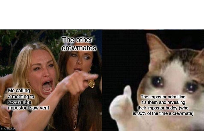 Then whenever I'm their impostor buddy they say it's me :P | The other crewmates; Me calling a meeting to accuse the impostor I saw vent; The impostor admitting it's them and revealing their impostor buddy (who is 90% of the time a crewmate) | image tagged in memes,woman yelling at cat | made w/ Imgflip meme maker