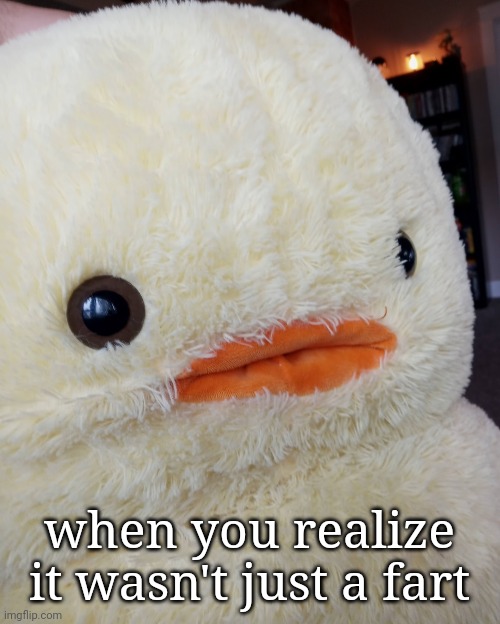 my boyfriend's sisters did this hh | when you realize it wasn't just a fart | made w/ Imgflip meme maker