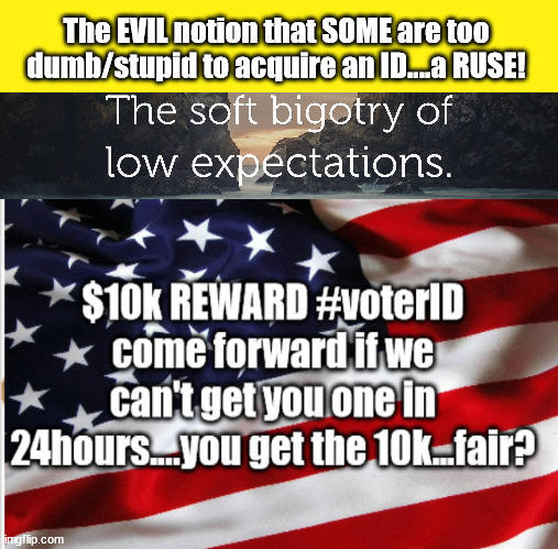 Voter ID...the Bigotry of Low Expectations | The EVIL notion that SOME are too dumb/stupid to acquire an ID....a RUSE! | image tagged in vote,voter id,democrats,evil | made w/ Imgflip meme maker