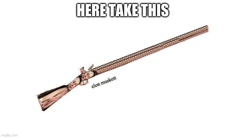 Elon Musket | HERE TAKE THIS | image tagged in elon musket | made w/ Imgflip meme maker