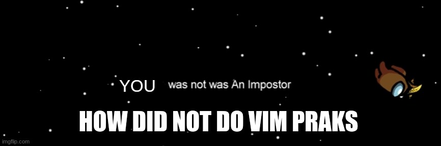 ya i did vim vay were good i miss old among us : ( | YOU; HOW DID NOT DO VIM PRAKS | image tagged in among us not the imposter | made w/ Imgflip meme maker