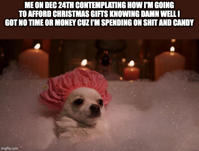 Chihuahua Bubble Bath | ME ON DEC 24TH CONTEMPLATING HOW I'M GOING TO AFFORD CHRISTMAS GIFTS KNOWING DAMN WELL I GOT NO TIME OR MONEY CUZ I'M SPENDING ON SHIT AND CANDY | image tagged in chihuahua bubble bath | made w/ Imgflip meme maker