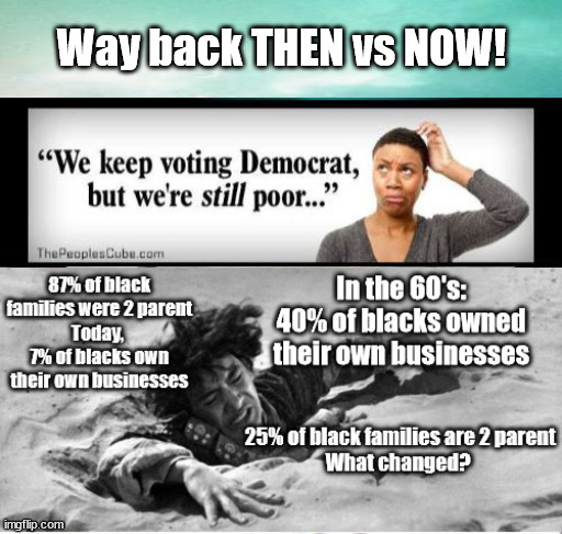 Blacks Better YESTERDAY than TODAY...thanks...Democrats | Way back THEN vs NOW! | image tagged in race,poverty,democrat cities,sharpton | made w/ Imgflip meme maker