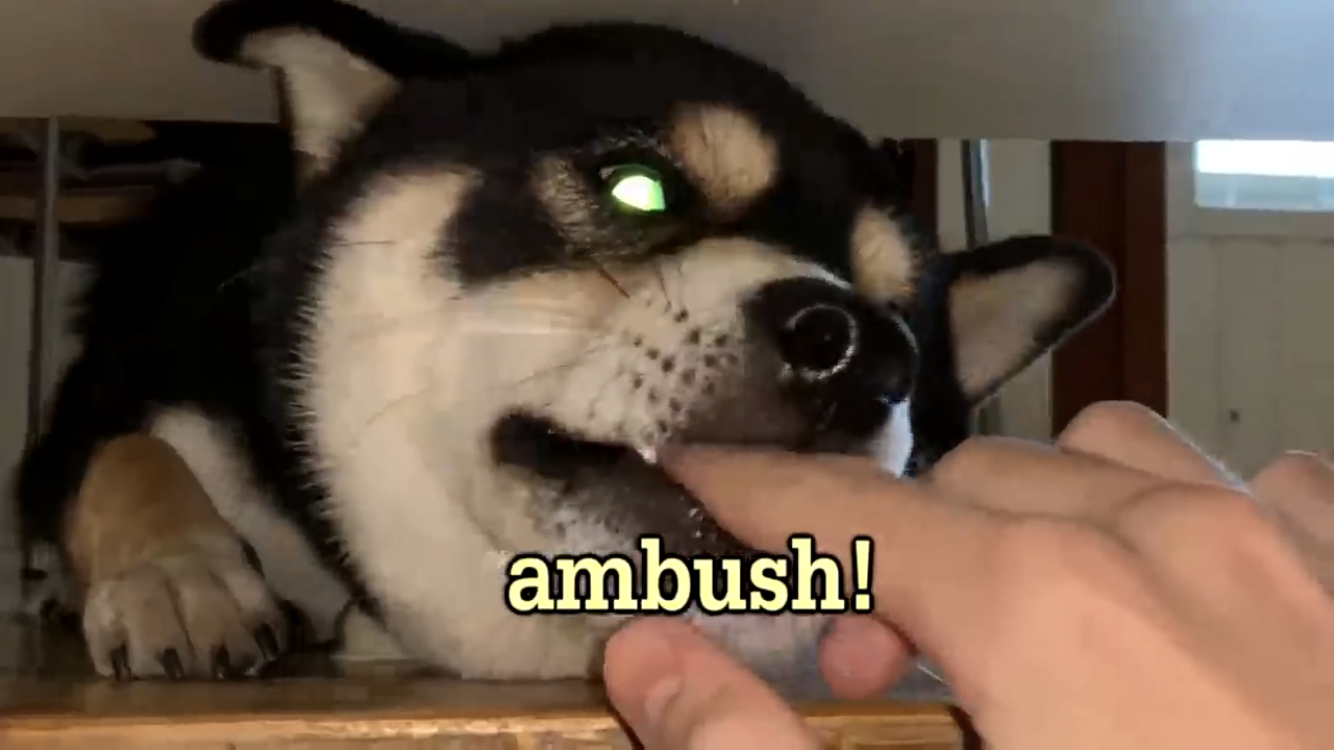 Ambush! Blank Meme Template