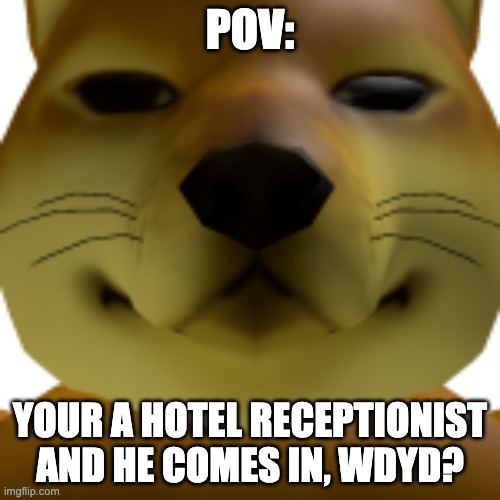 Remember that Brotheryoda is a troller in serious RP games. (except for games that he works in.) | POV:; YOUR A HOTEL RECEPTIONIST AND HE COMES IN, WDYD? | image tagged in what the heck is this | made w/ Imgflip meme maker