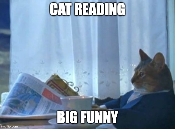 big funne | CAT READING; BIG FUNNY | image tagged in memes,i should buy a boat cat,bruh,good memes,funny memes,best memes | made w/ Imgflip meme maker