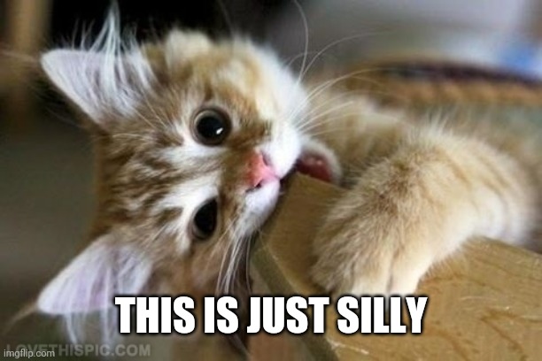 That's just silly cat | THIS IS JUST SILLY | image tagged in that's just silly cat | made w/ Imgflip meme maker